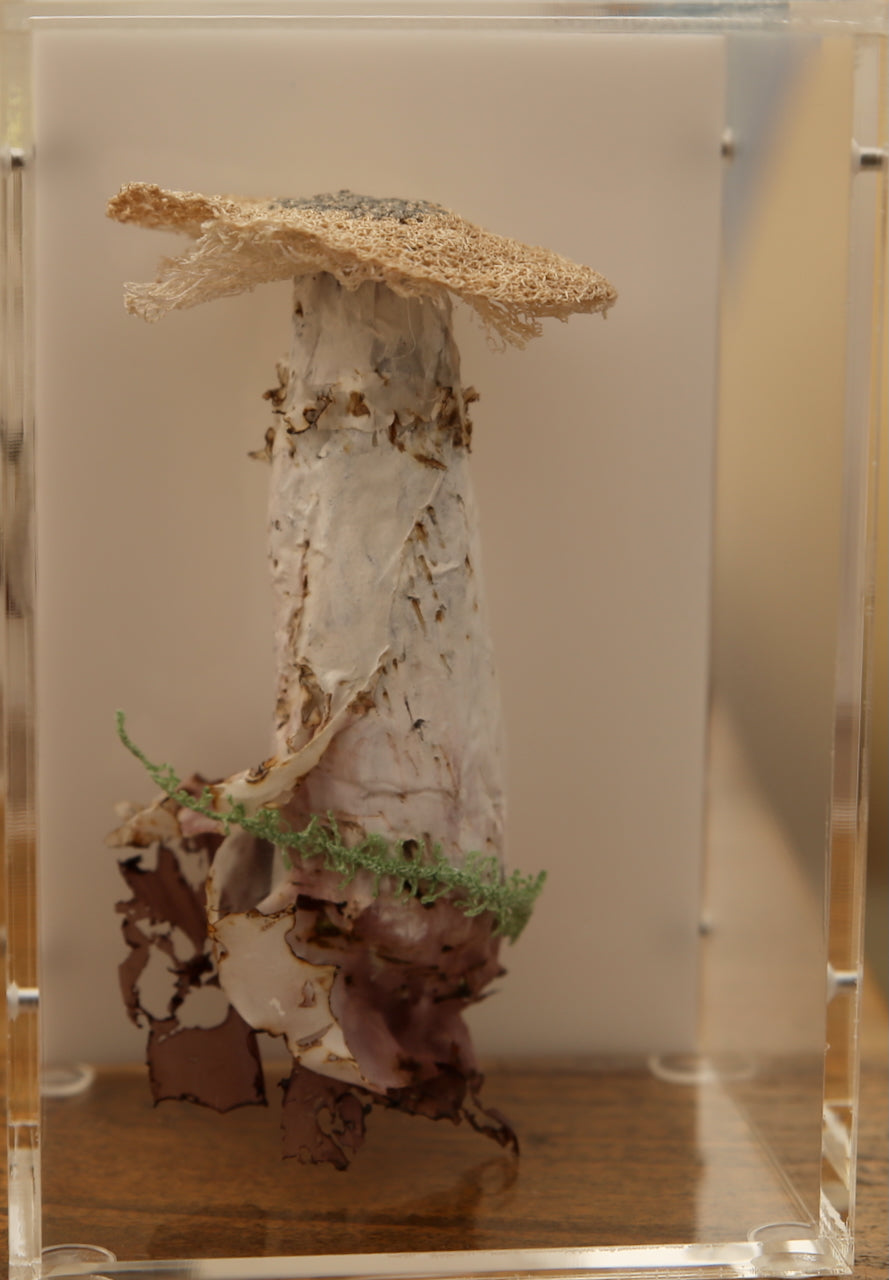 Deathcap Fungi 3D Thread Sculpture #8.