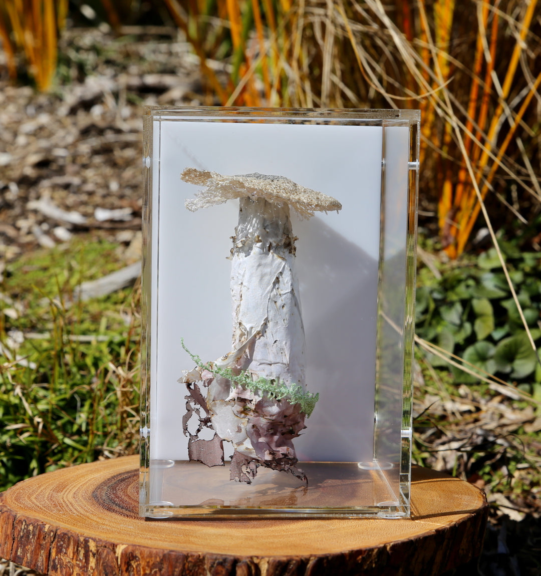 Deathcap Fungi 3D Thread Sculpture #8.