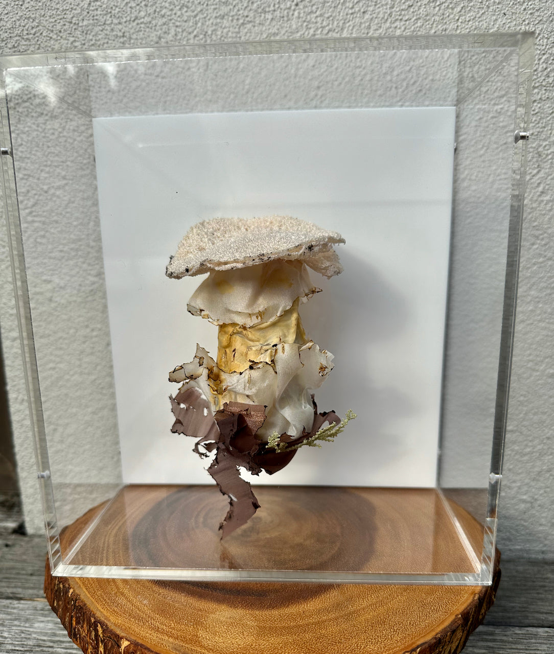 Deathcap Amanita fungi 3D Thread Sculpture #3,