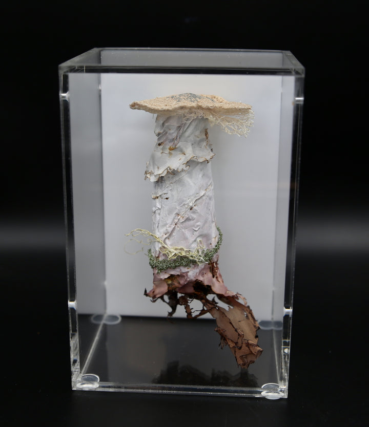 Deathcap Fungi 3D Thread Sculpture #9.