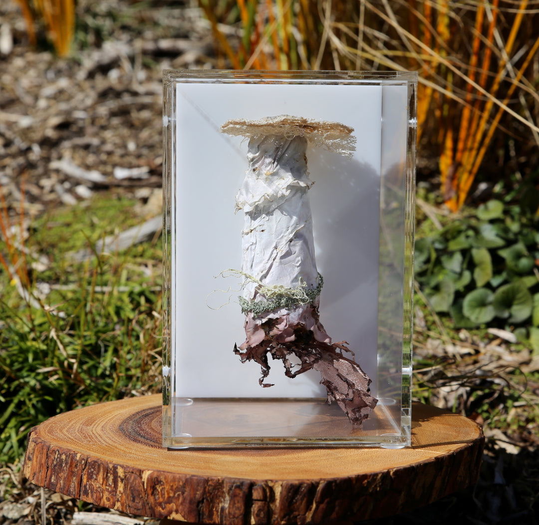 Deathcap Fungi 3D Thread Sculpture #9.