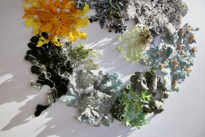 Lavish landscape of lichens.  3D Thread Sculpture.