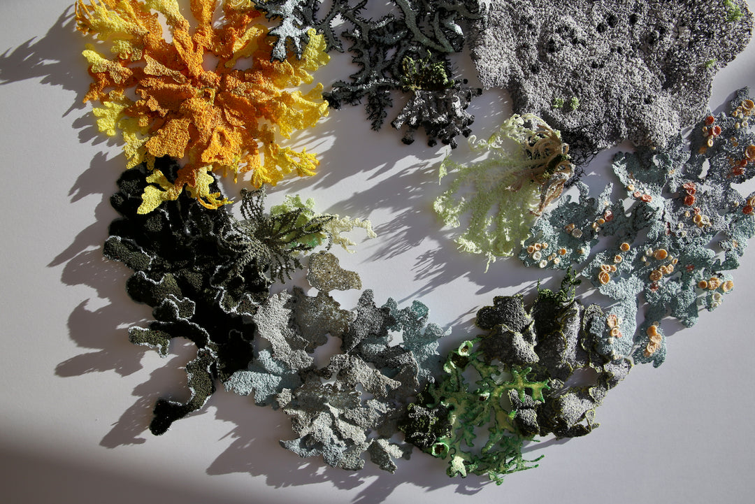 Lavish landscape of lichens.  3D Thread Sculpture.