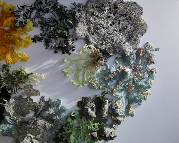 Lavish landscape of lichens.  3D Thread Sculpture.