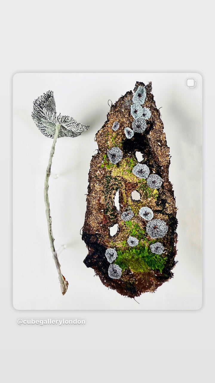 Fungi of New Zealand 3D Thread Sculpture #6.