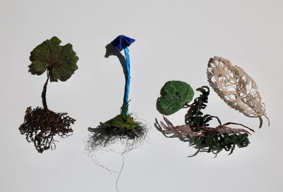 Forest Floor species 3D Thread Sculpture.