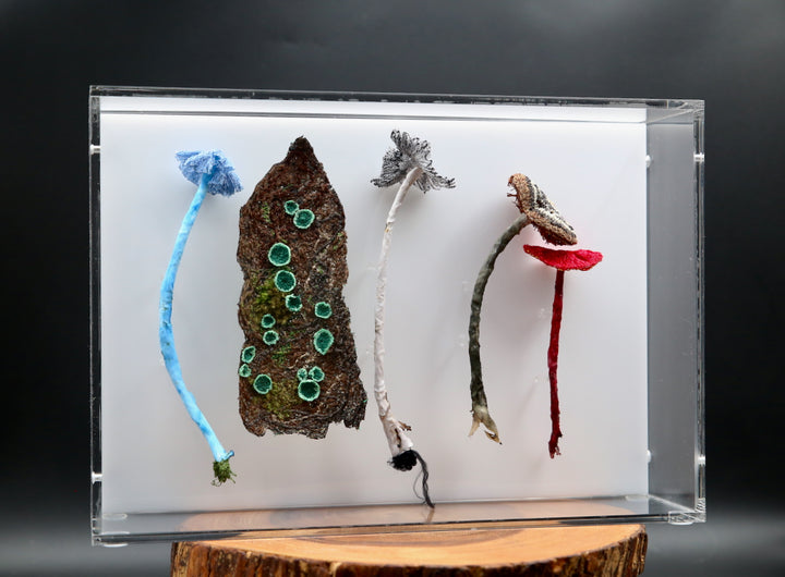 Fungi of New Zealand 3D Thread Sculpture #9.