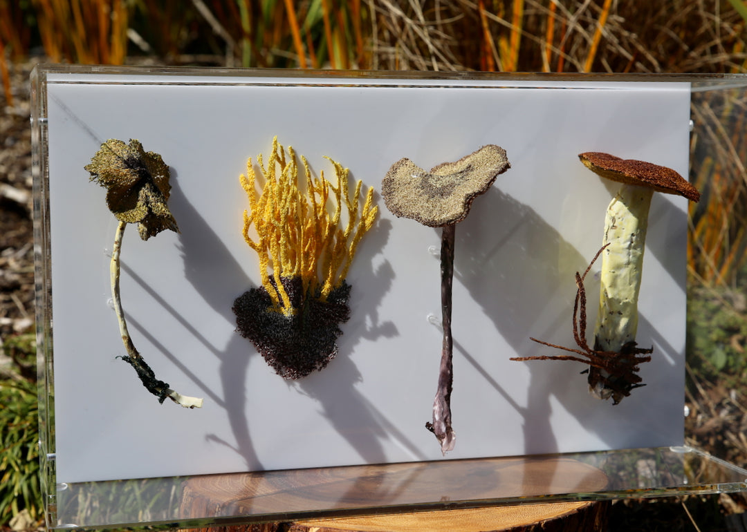 Fungi of New Zealand 3D Thread Sculpture #12.