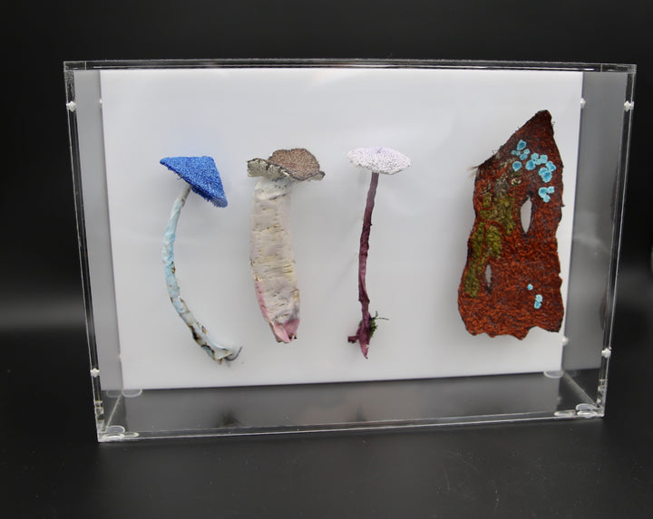 Fungi of New Zealand 3D Thread Sculpture #13.