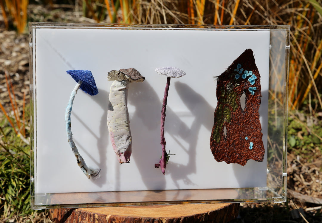 Fungi of New Zealand 3D Thread Sculpture #13.