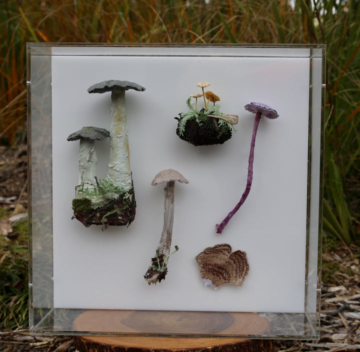 Fungi of New Zealand 3D Thread Sculpture #14.