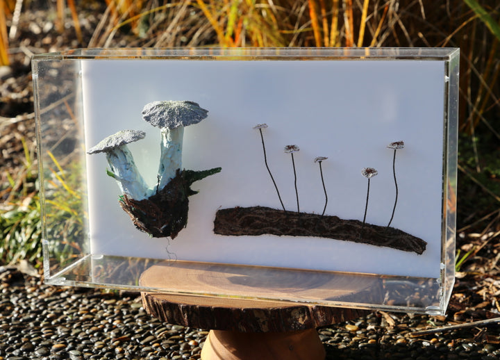 Fungi of New Zealand 3D Thread Sculpture #15.