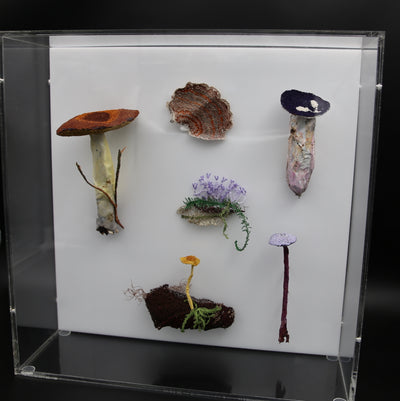 Fungi of New Zealand 3D Thread Sculpture #16.