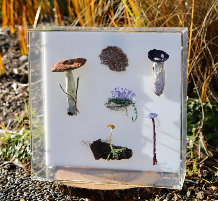 Fungi of New Zealand 3D Thread Sculpture #16.