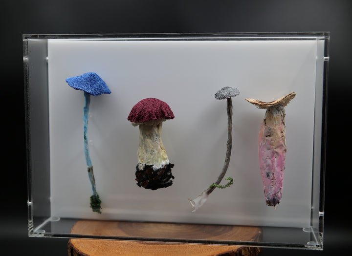 Fungi of New Zealand 3D Thread Sculpture #20.