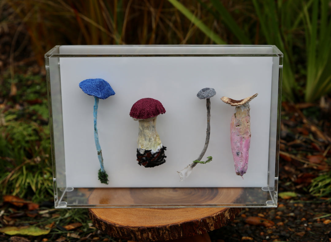 Fungi of New Zealand 3D Thread Sculpture #20.