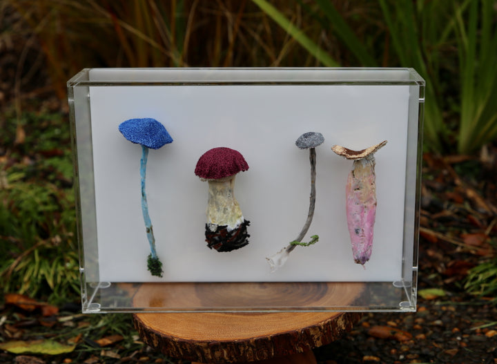 Fungi of New Zealand 3D Thread Sculpture #20.