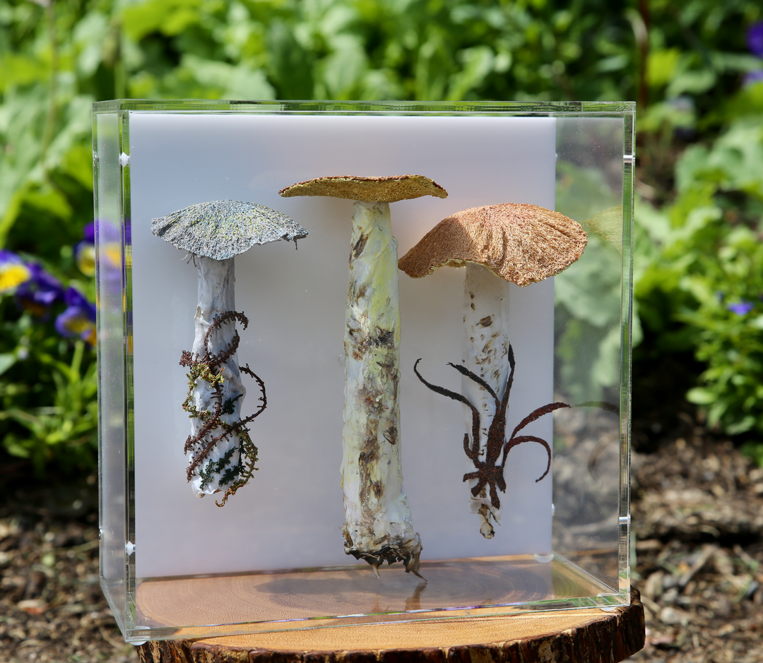 Fungi of New Zealand 3D Fibre Art #23.