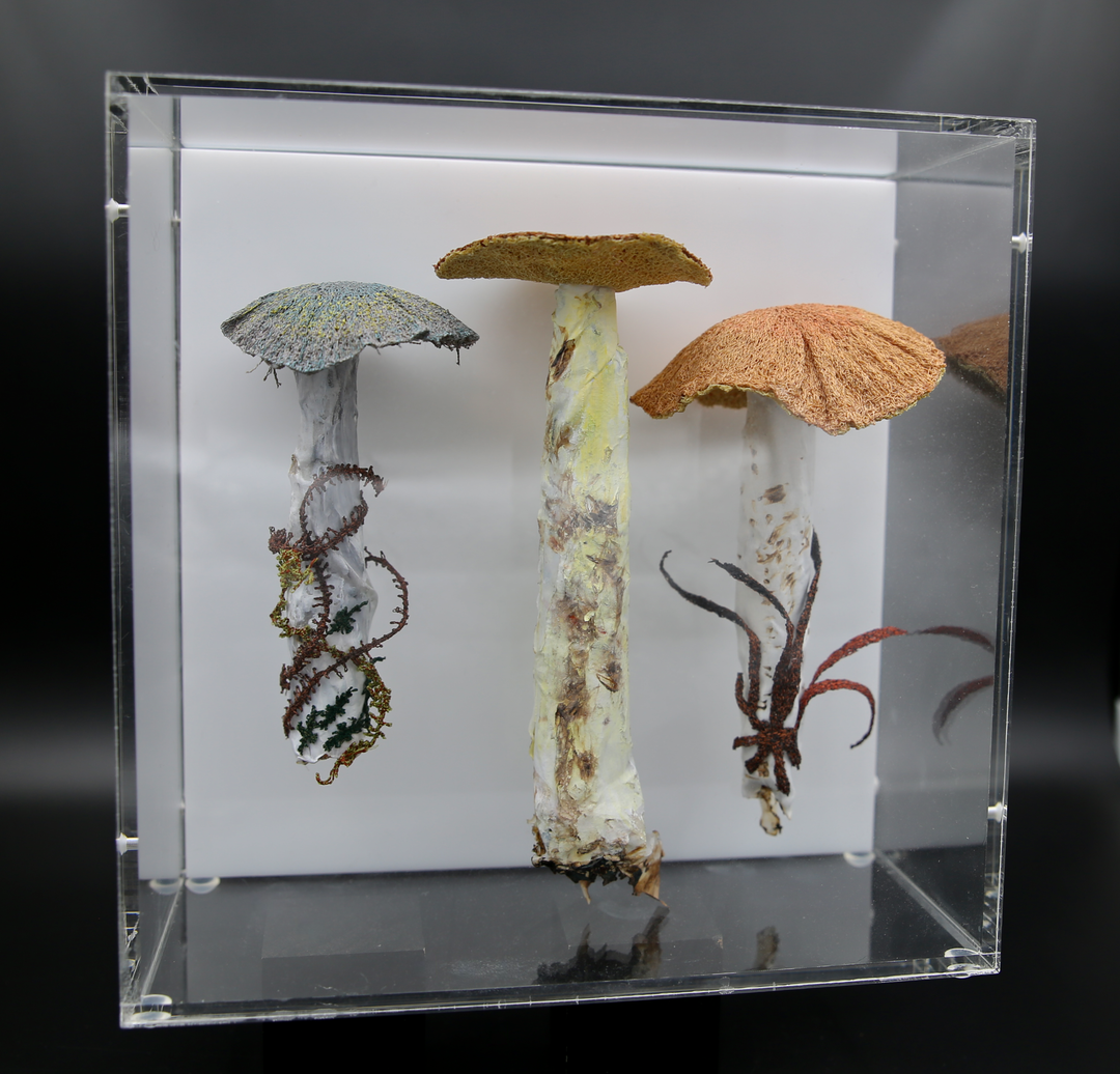 Fungi of New Zealand 3D Fibre Art #23.