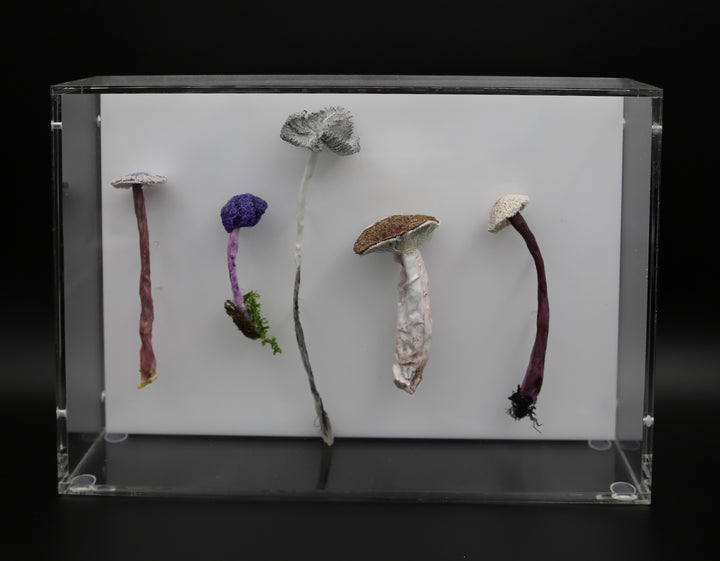 Fungi of New Zealand 3D Thread Sculpture #7.