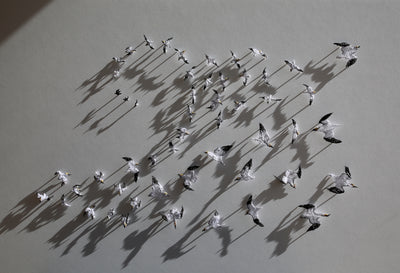 Insatiable Gannets 3D Thread Sculpture. #2