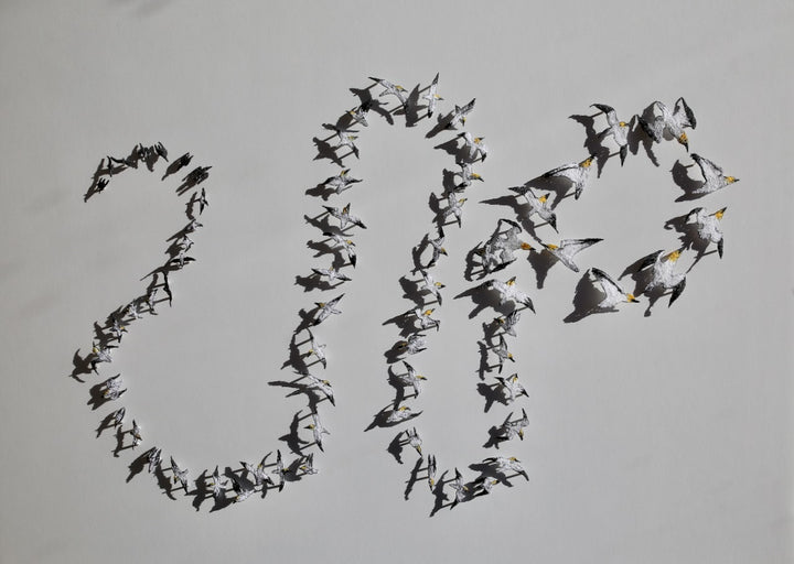 Insatiable Gannets 3D Thread Sculpture. #3.