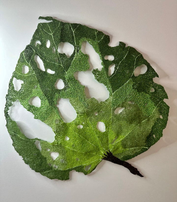 Giant Kawakawa Leaf 3D Thread Sculpture #4.