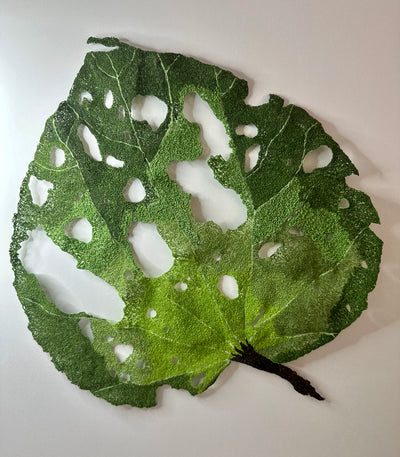 Giant Kawakawa Leaf sculptural embroidery #2.