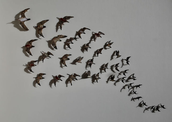 Flight of the Kuaka (Bar-tailed godwit) 3D Thread Sculpture.