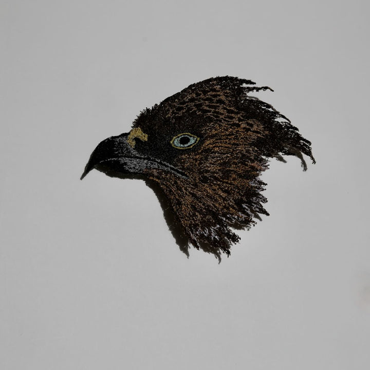 Kahu - Harrier Hawk 3D Thread Sculpture. #2