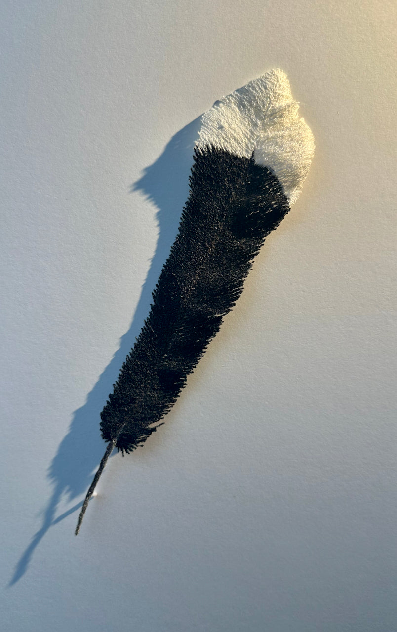 Huia feather 3D Thread Sculpture #6.