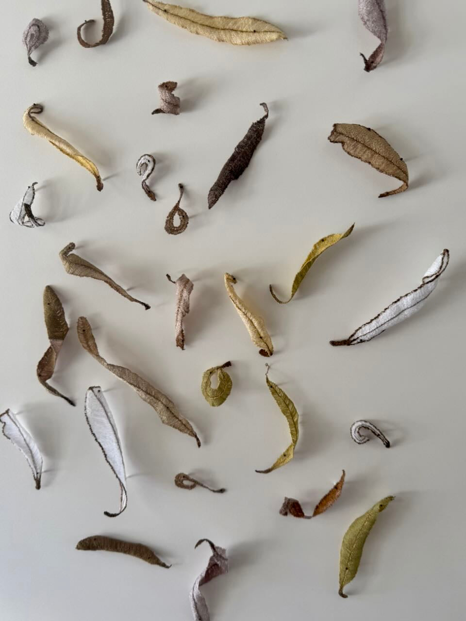 Banksia leaf formations 3D Thread Sculpture.