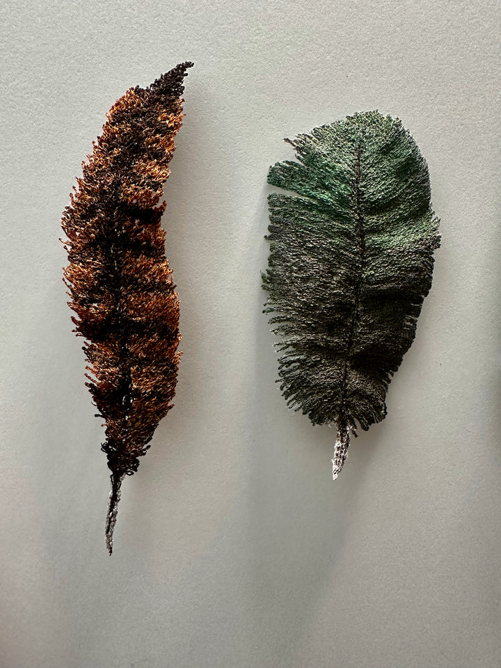 NZ bird feathers 3D Thread Sculpture.