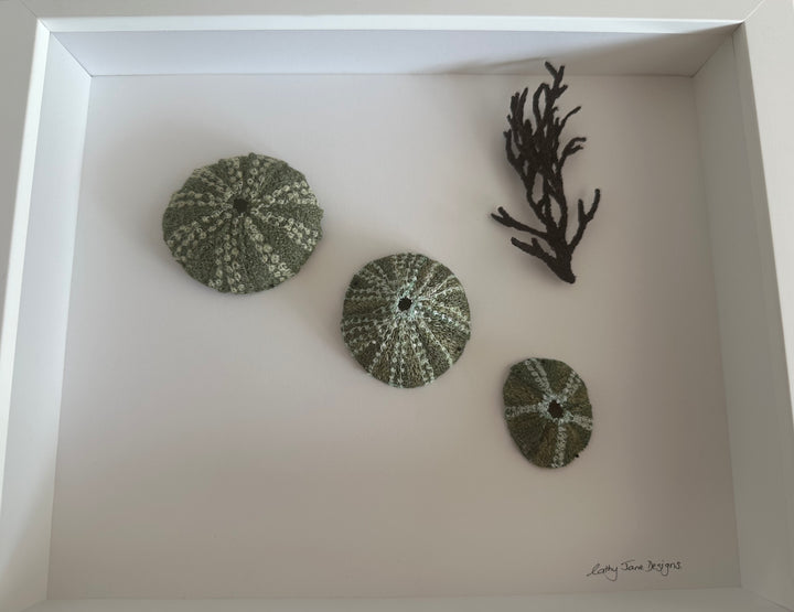 Kina Shells 3D Thread Sculpture #4.
