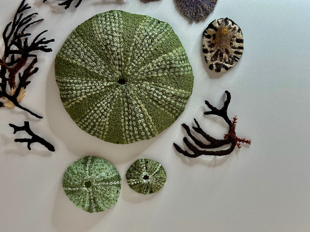 Kina, limpets and seaweed 3D Thread Sculpture.