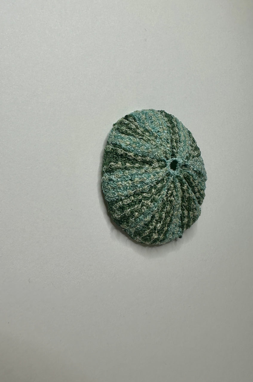 Kina Shell (green/blue shades) sculptural embroidery.