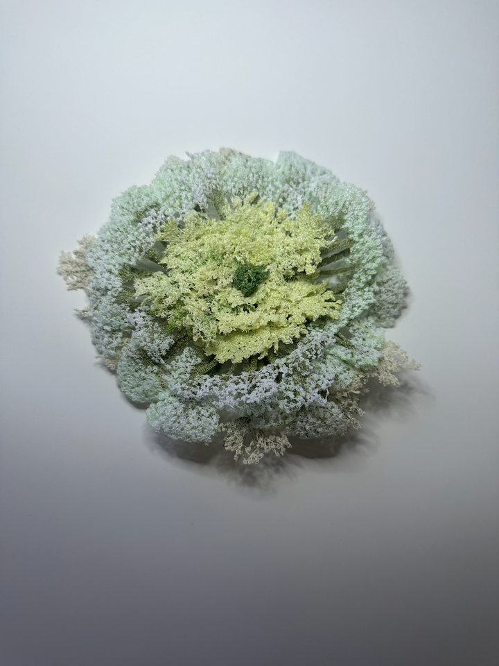 Queen Anne's lace 3D Thread Sculpture #3.