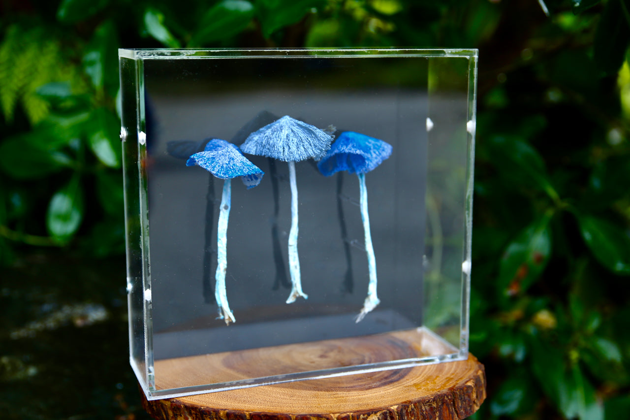 Werewere Kokako Fungi #4  3D sculptural embroidery.