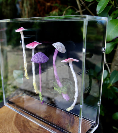 Fungi of New Zealand #4  3D sculpture.