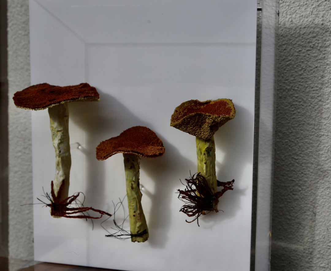 Dotted-stalked Suillus fungi 3D Thread Sculpture.