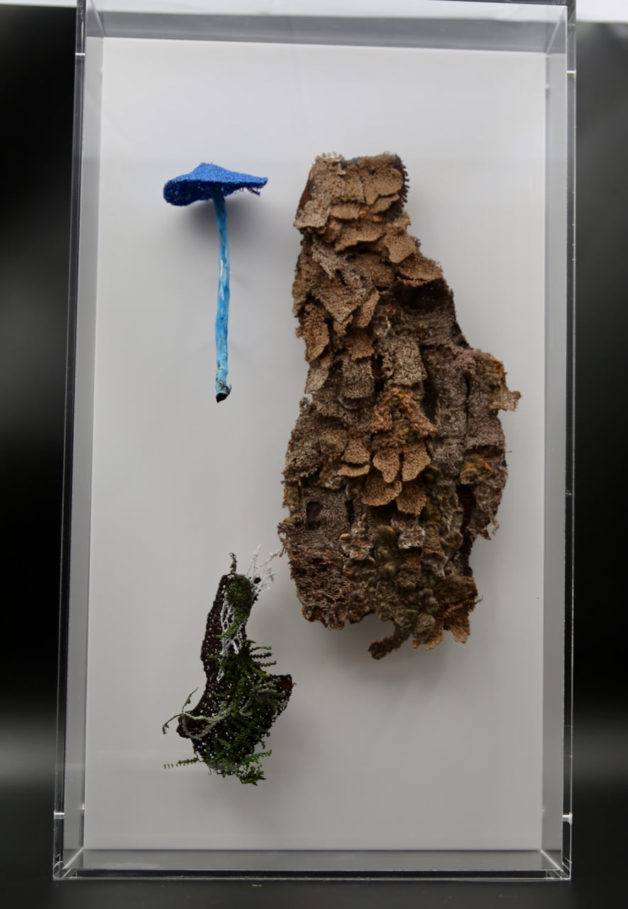 Cabbage tree bark, lichen & fungi 3D Thread Sculpture.