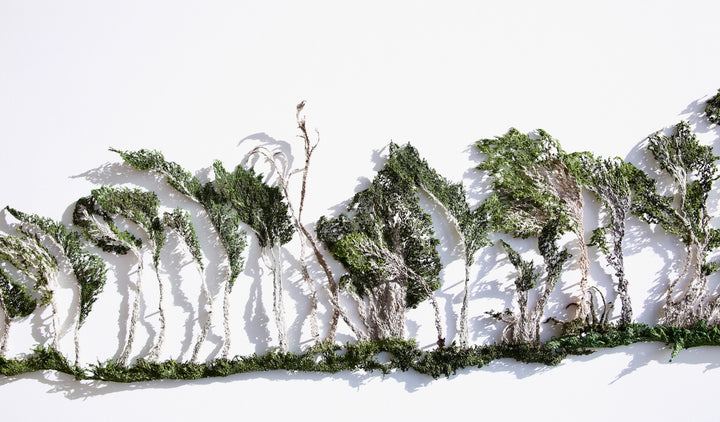Windblown - Slope Point 3D Thread Sculpture. #2