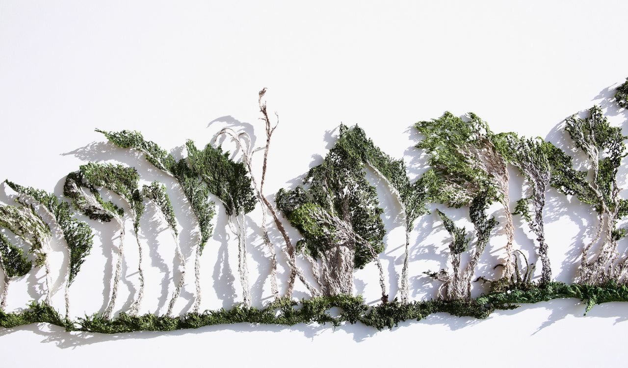 Windblown - Slope Point 3D Thread Sculpture. #2