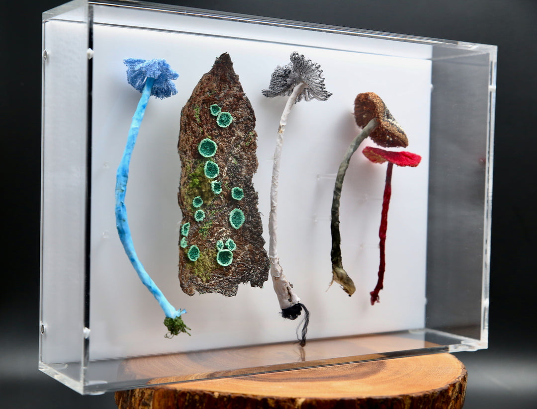 Fungi of New Zealand 3D Thread Sculpture #9.