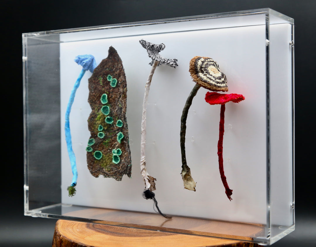 Fungi of New Zealand 3D Thread Sculpture #9.