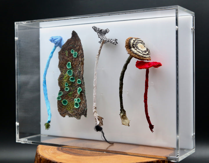 Fungi of New Zealand 3D Thread Sculpture #9.