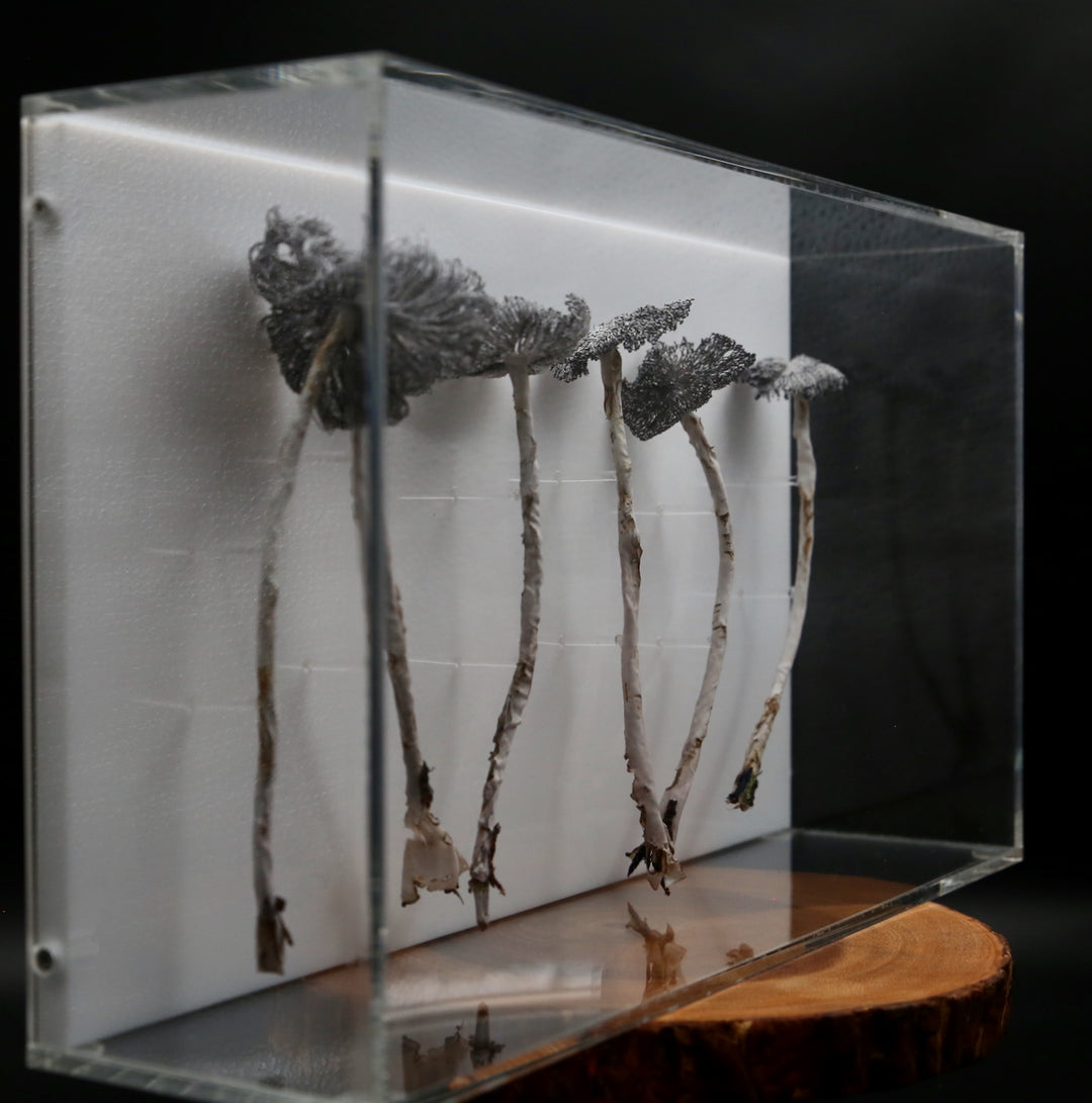 Inkcap Fungi 3D Thread Sculpture #3.