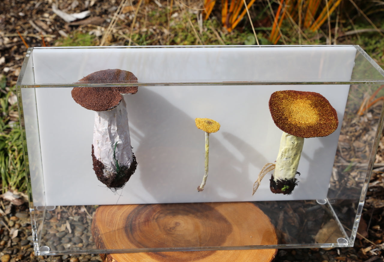 Fungi of New Zealand 3D Thread Sculpture #10.