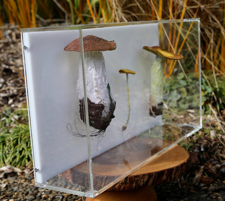 Fungi of New Zealand 3D Thread Sculpture #10.