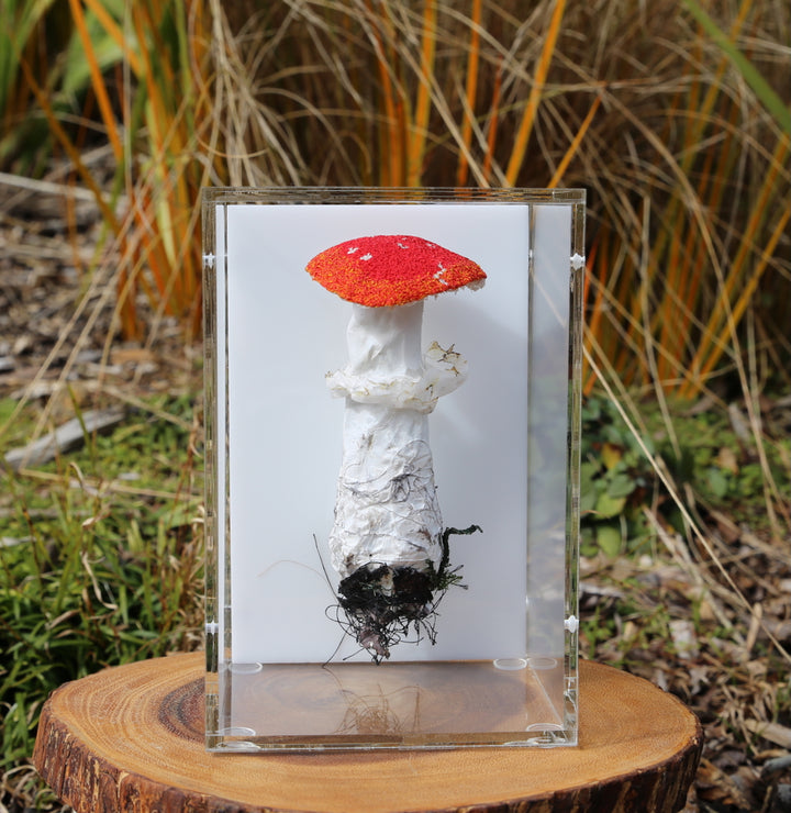 Amanita muscaria fungi 3D Thread Sculpture #2.